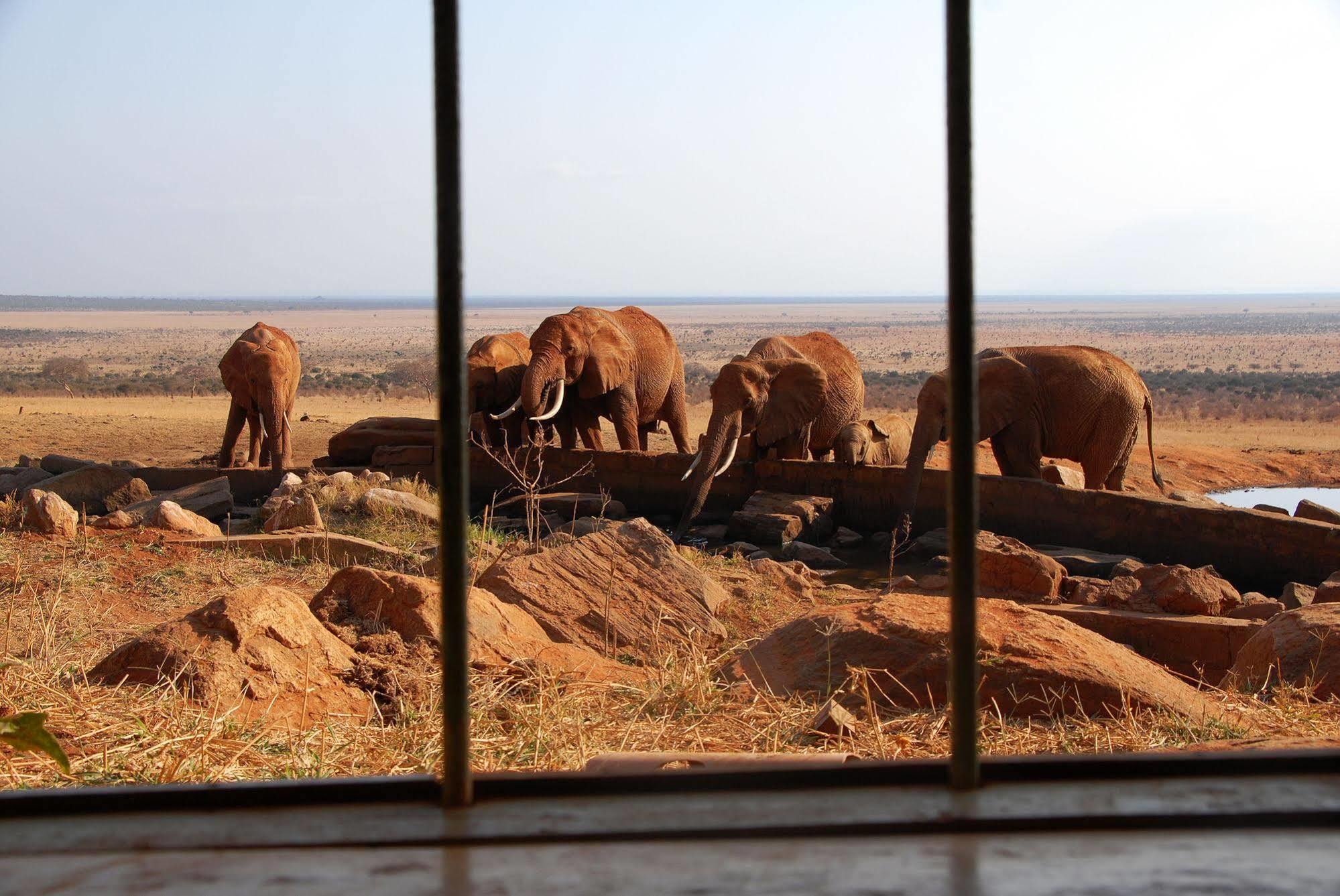 Voi Safari Lodge Dış mekan fotoğraf